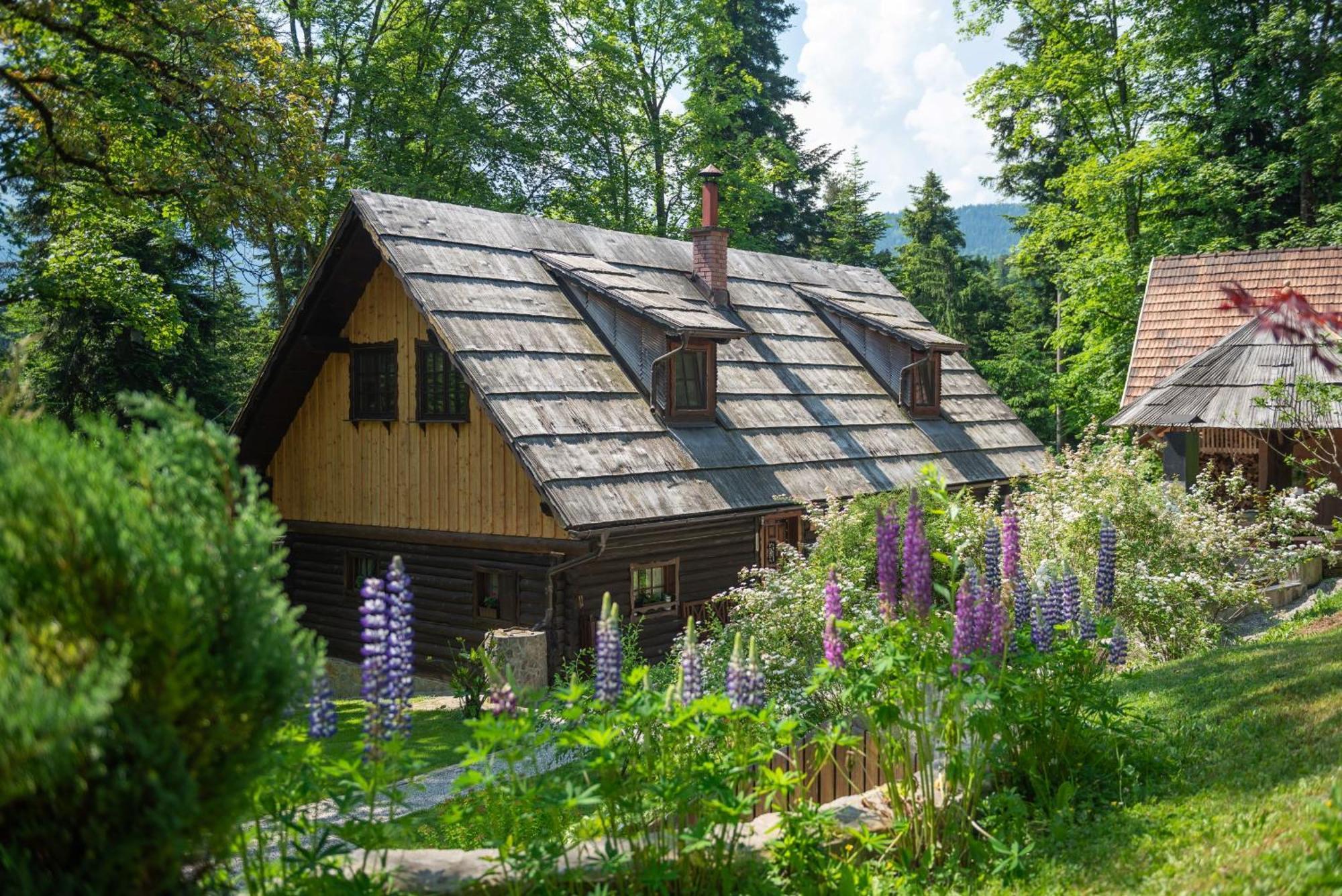 Villa Pocitniska Hisa Koca Dobnik Lovrenc na Pohorju Exterior foto