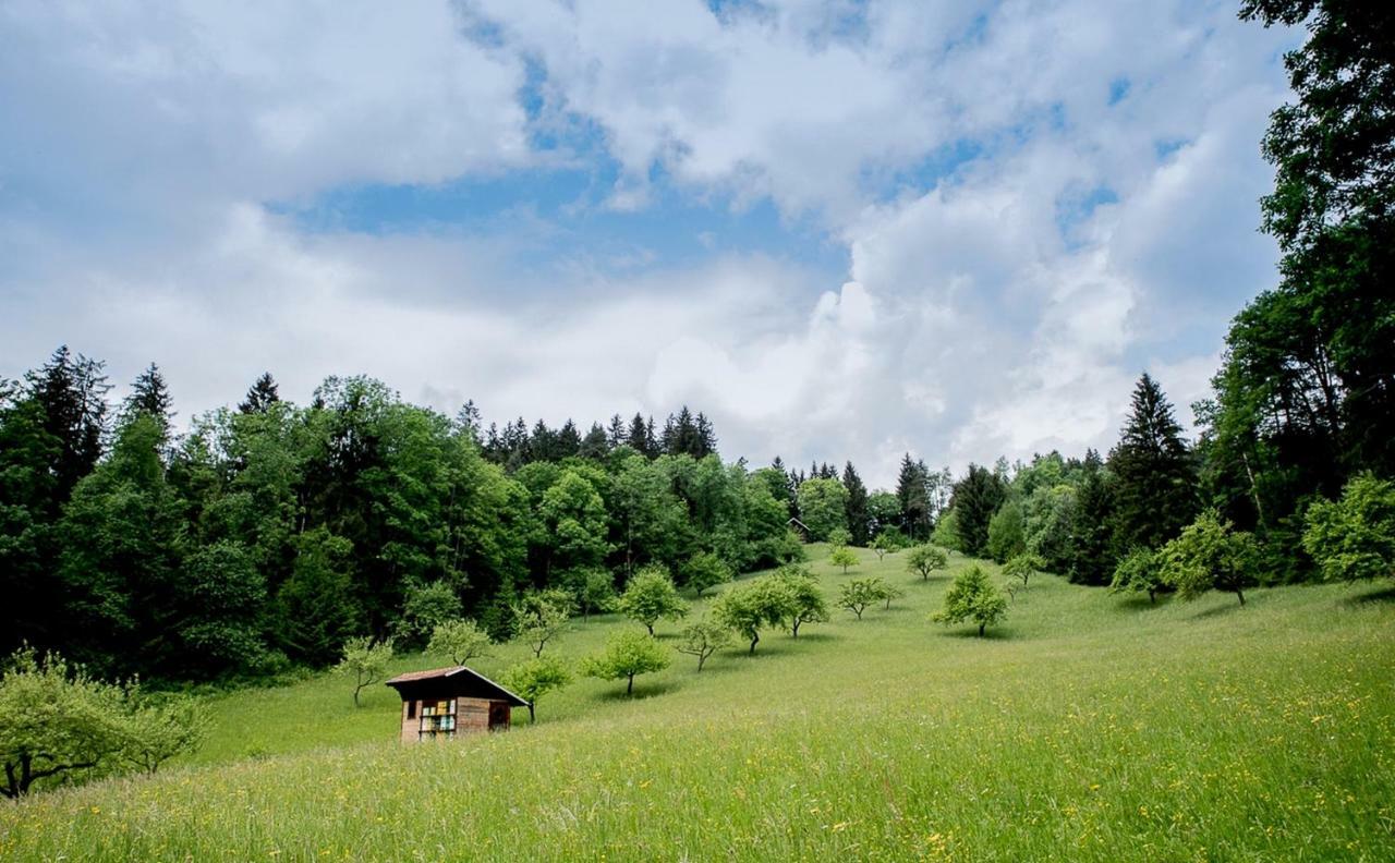 Villa Pocitniska Hisa Koca Dobnik Lovrenc na Pohorju Exterior foto