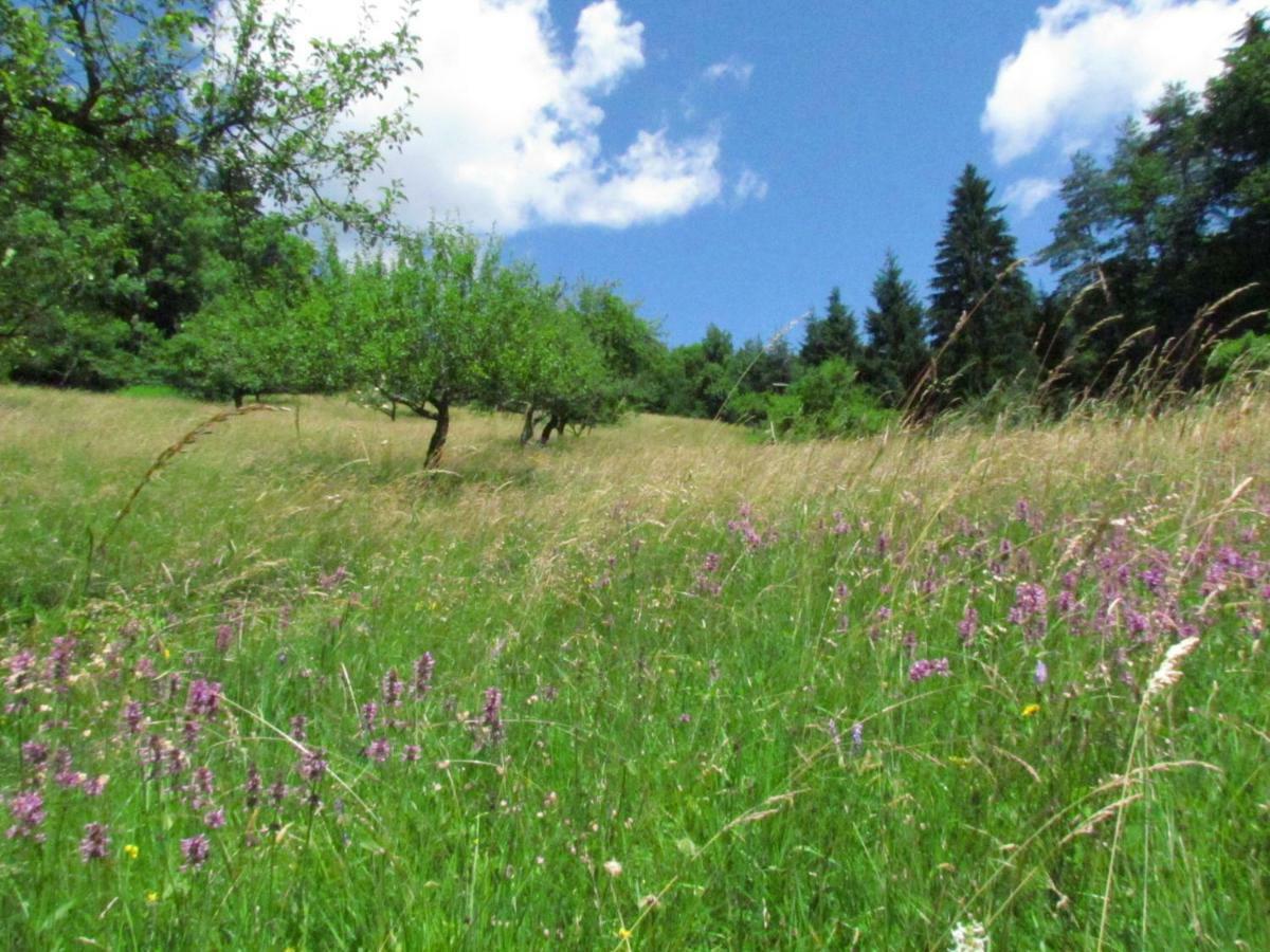 Villa Pocitniska Hisa Koca Dobnik Lovrenc na Pohorju Exterior foto